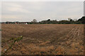 Field by Cromer Road in NR11 8DG