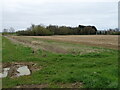Drain and stubble field towards woodland in PE10 0TE