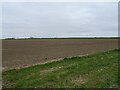 Field towards the South Forty Foot Drain in PE11 4JY