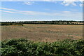 Romney Marsh farmland in TN25 7JZ