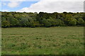 Woodland, Hambleden Valley in RG9 6SN