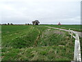 Drain beside Dunsby Drove in Dunsby