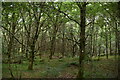 Wooded slopes of Dunmore Hill in PH16 5NE