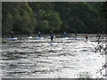 Paddle boarders on the River Tay in PH9 0NR