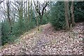 Public Footpath to Park Nook, through Elland Park Wood in HX3 9FL