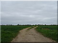 Track (byway) off Morton Drove near Morton in PE10 0PD