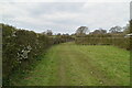 Footpath to Donkey Lane in Appledore Heath