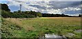 Farmland off Broom Lane in NR28 9UG