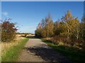 Path in Gedling Country Park in NG4 4AH