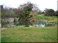 Pond, Barnhorne Manor Farm in TN39 4SR