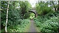 Bridge over the disused Haltwhistle to Alston branch line in CA8 7NJ