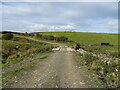 Farm track over the Kirkton Burn in TD9 8QJ