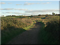 A track across the Grove golf course, near South Cornelly in CF36 3DJ