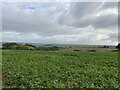 Fields near Glaston Trig Point in LE15 9BX