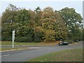 Roundabout trees in autumn, Chandler's Ford in SO53 4AG