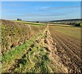 Looking east near High Pastures in Woodborough