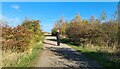 Path through Gedling Country Park in NG4 4AH