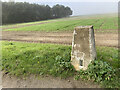 Fowlmere Trig Point Flush Bracket 10671 in SG8 7QJ