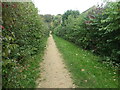 Public footpath between Merlin Way and Catmint Close in SO53 4NY