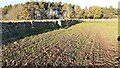 Arable field at Sceugh Head with Stonewall Jackson Wood in background in CA4 0NB