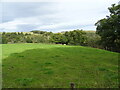 Grazing, Old Jeddart in TD8 6PJ