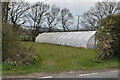 Polytunnel in TN26 2BJ