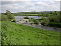 River Ribble near Elston in PR5 0UE