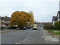 Autumn leaves in Shakespeare Avenue in UB5 6JB