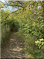 Footpath alongside disused Lime Quarry in CB23 1ES