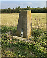 Lords Bridge Trig Point Flush Bracket 10845 in CB23 1EU