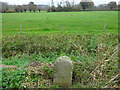 Old milestone, Rockhampton in GL13 9DY