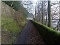 Southeast view along path by Mugdock Reservoir in G62 8EJ