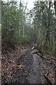 Bridleway, Styants Wood in TN15 0EZ