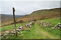 Bridleway below Maen-llwyd-uchaf in LL55 4SR