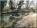River Wey: Bowers Bridge in GU4 7SW