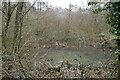 Pond in Pond Wood in TN33 9PP
