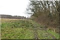 Footpath by Pond Wood in TN33 9PP