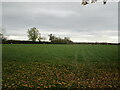 Grass field at North Piddle in WR7 4PS