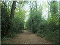 Path heading eastwards in Knight Wood in SO53 1TU