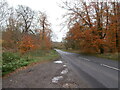 The A4 passes through Savernake Forest in SN8 3HN