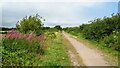 View north along railway path, south of Creswell in S80 4BS