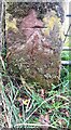 Benchmark on gatepost at field gateway on SW side of Brisco Road NW of Brisco Hall in CA4 0QP