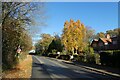 Autumn on Main Street in YO41 1LU
