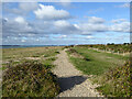 Coastal path by Southampton Water in Hook Park Estate