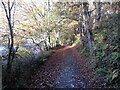 Llwybr cyhoeddus ger Forest / Public path near Forest in SA43 2SZ