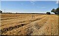 Footpath across stubble in TN26 2QH