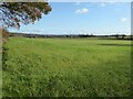 Farmland near Luston in HR6 0AP