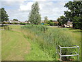 A marshy pond by Wylington Road in Frampton Cotterell and Winterbourne