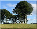 Tyrebagger (Dyce) stone circle viewed from the north-west in AB21 0HE