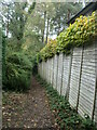 Public footpath from Hook Crescent to Hook Road in SO51 9DD